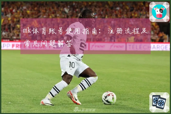 mk体育账号使用指南：注册流程及常见问题解答