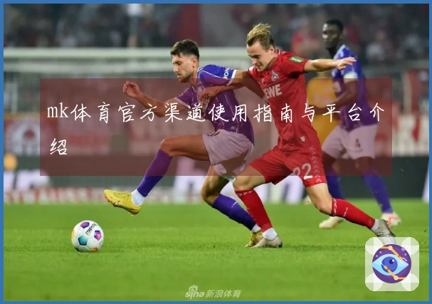 mk体育官方渠道使用指南与平台介绍